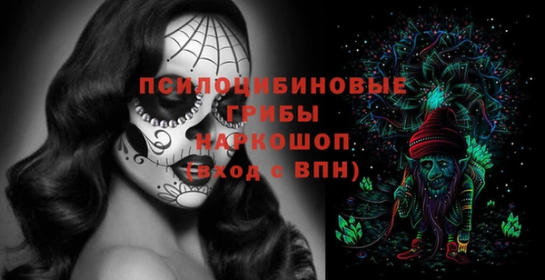 spice Осинники