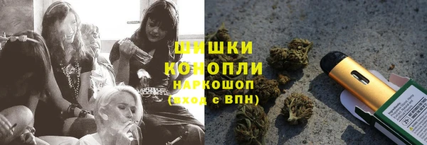 spice Осинники