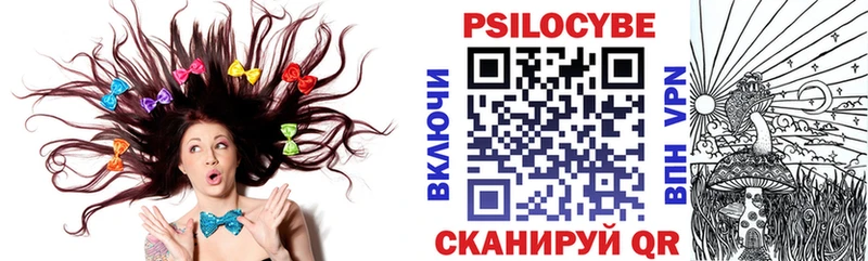 Псилоцибиновые грибы мицелий  закладки  Туапсе 